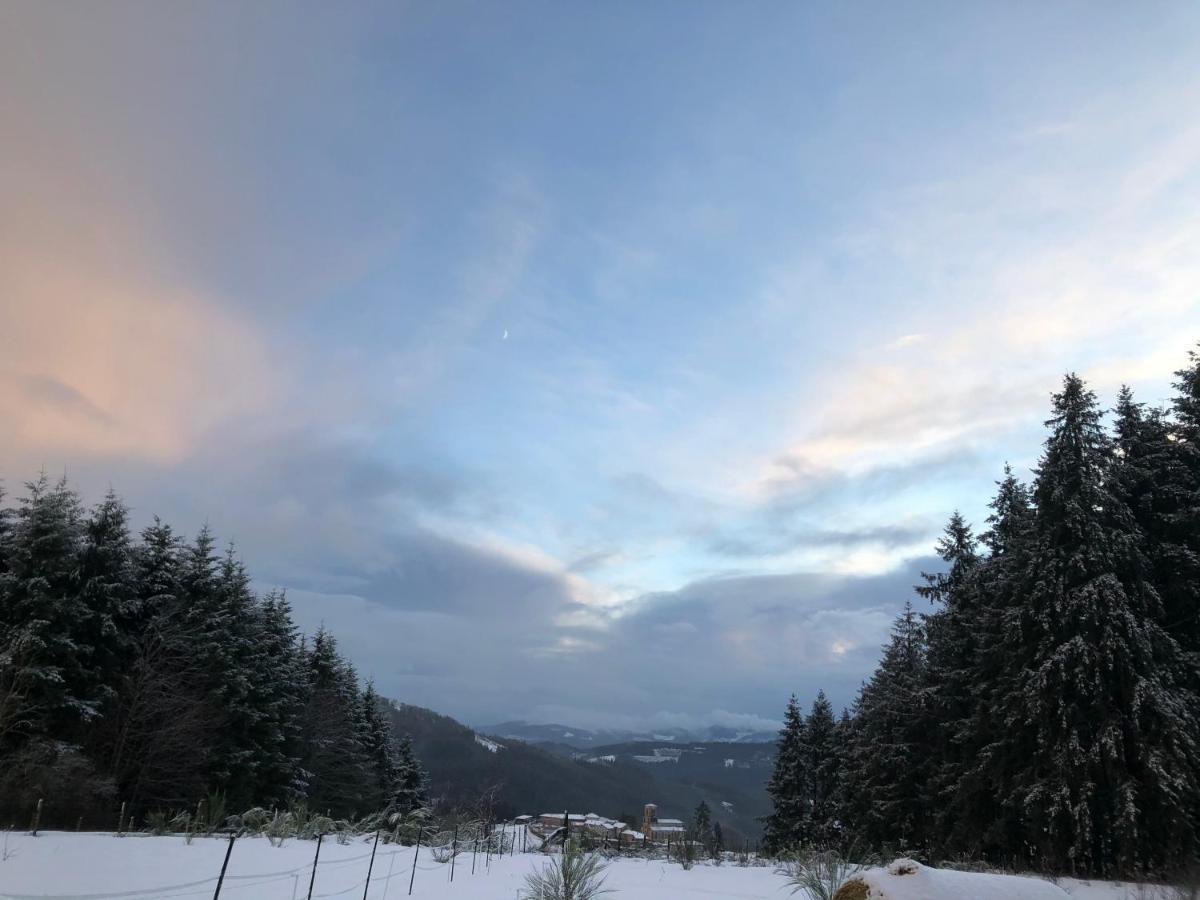 Le Chalet De La Goutte Saint-Appolinaire  Екстериор снимка
